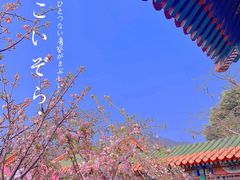 -珠海圆明新园