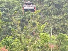 -靖西鹅泉风景区