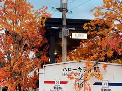 -Blue Concept Cafe&Farm·關於藍