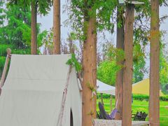 -泗洪洪泽湖湿地景区