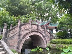 -桂湖森林公园