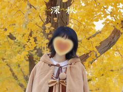 -三里屯东五街银杏大道