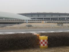 -稻香村(首都国际机场3号航站楼店)