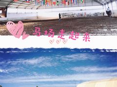 -月河湾马术俱乐部(朝阳店)