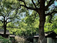 -惠山古镇·寄畅园