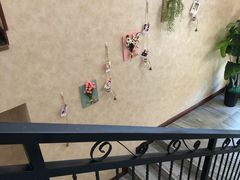 -宠爱国际动物医院· 猫科· 外科·中兽医(长白店)