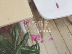 -拾壹cafe·工作室
