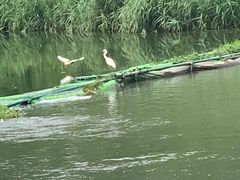 -尚贤河湿地