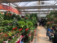-秦美花卉(天朗·莱茵小城2期店)