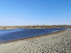 -东郊湿地公园