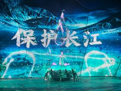 -重庆国际马戏城