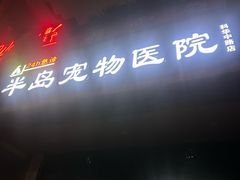 -半岛宠物医院24小时(科华中路店)