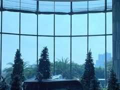 -希尔顿南海酒店·观廊大堂吧·海景下午茶