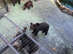 -深圳野生动物园