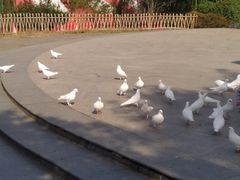 -无锡动物园·太湖欢乐园