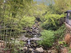 -梁野山景区
