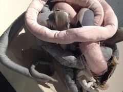 iphone_upload_pic-浙江西湖美术馆