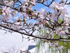 -常熟方塔园