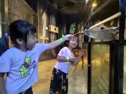 -酷嗒动物文化乐园(cutezoo西溪乐天城店)