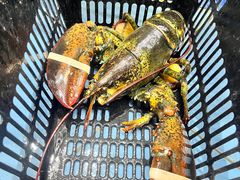 -琼大师东方烤乳猪(亚特兰蒂斯店)