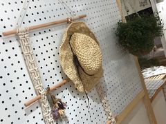 -白日梦奶茶