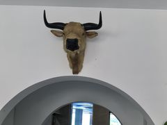 -黄牛肉馆·皖南土菜