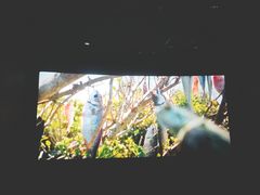 -星轶影院(南京茂业天地店)
