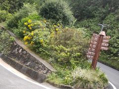 -白云山风景名胜区