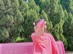 -南沙蒲洲花园