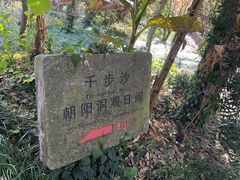 -普陀山风景名胜区-千步大沙