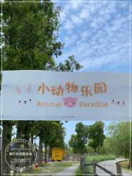 点击看大图 -前小桔亲子创意农场·草莓采摘·露营烧烤