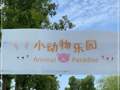 -前小桔亲子创意农场·草莓采摘·露营烧烤