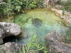 -南海湾森林生态园