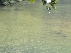 -龙湾潭国家森林公园