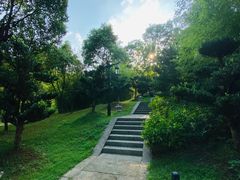 -兰亭风景区