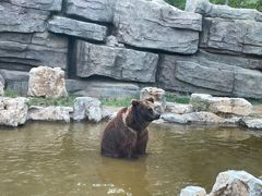 -北京野生动物园