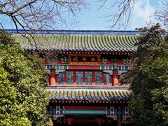 -灵谷景区