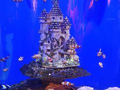 -海合安武汉极地海洋公园