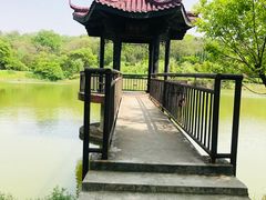 -宜兴龙背山森林公园