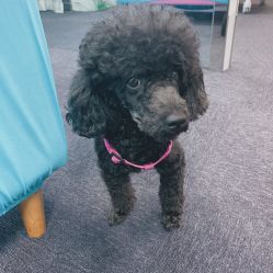 -斐尔国际皮肤管理中心