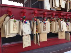游乐设施-横山寺