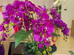 -天使口腔门诊部(上海店)