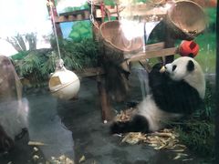 -无锡动物园·太湖欢乐园