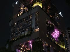 -樟宜机场免税店