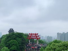 -黄鹤楼公园(黄鹤楼)