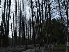 -范蠡湖公园