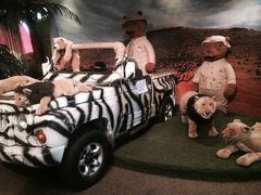 -济州岛泰迪熊博物馆