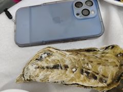 原只蒸生蚝-嘉升大排档(番禺总店)