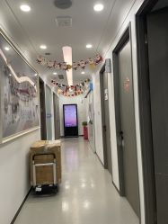-联合丽格·张菡丽格医疗美容