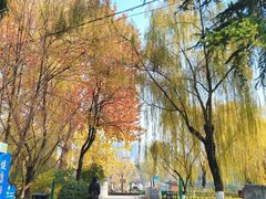 -长乐公园游乐场